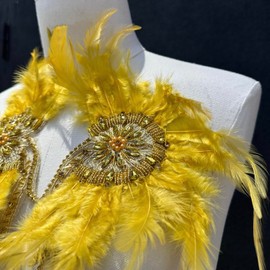 JRYYR 1 Pair Feather Rhinestone Applique, Gold Rhinestone Applique for Dress, Wedding, Costume Decoration Accessory Patch (Feather Applique - Gold Color)