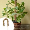 Moss Pole Coconut Stick DIY Modeling Plant Climbing Pole Climbing
