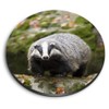 1 x Round MDF Magnet - Cute Badger Wildlife Animal