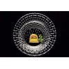 Nachtmann Bossa Nova Collection 9 Inch Salad Plate | Set