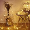 HHMTAKA Fairy Lights with 40 Warm White LEDs on 6m
