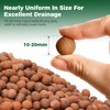 T4U Leca Clay Pebbles for Plants, 1.5qt 10-20 mm Clay