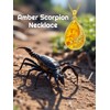YYB Amber Necklace for Women Scorpion Necklace 14k Gold Plated