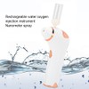 Household Portable Handheld Hydrating Nanometer Spray High Pressure O2 Injection