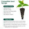 PACETAP 50 Pack Bulk Grow Sponges Compatible with AeroGarden Pod,