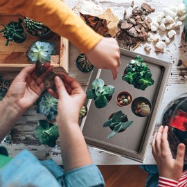 2Pcs Bonsai Pots Humidity Drip Trays, Square Plant Pot Saucer Drainage Tray for Indoor Cactus Bonsai Trees, Accessories (Black)