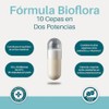 Pack Probióticos y Prebióticos Simbióticos BIOFLORA Flora Max