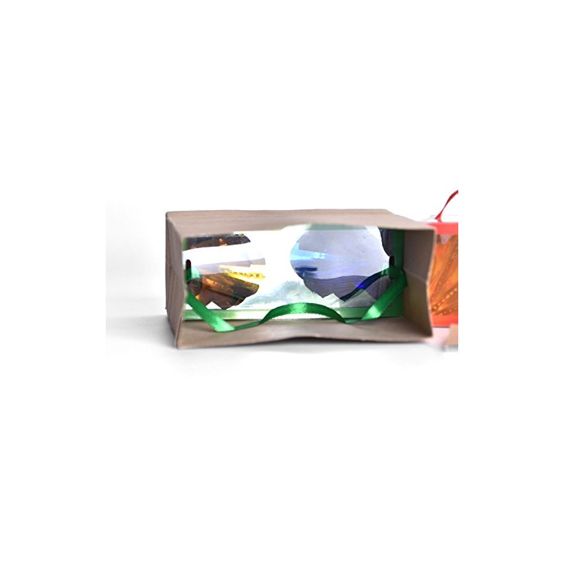 Flower Box, Flower Case, Dreamback from Paper Bag to Flower