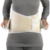 CHAMPION Industrial Belt Back Brace Abdominal Support Shoulder Straps, Black