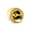 CMI Inc 1 Inch Brass Spring Check Valve,1 in. X