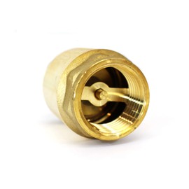 CMI Inc 1 Inch Brass Spring Check Valve,1 in. X 1 in. FNPT,200 WOG,Backflow Preventer,For Tankless Water Heater,Pressure Pumps,Boilers,and HVAC Systems (1 inch)