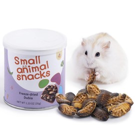 Niteangel Small Animal Snack & Treats - Small Critter Natural Treat for Dwarf Syrian Hamsters Gerbils Mice Sugar Glider Hedgehogs Chickens Birds (Freeze-Dried Dubia)