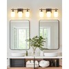 Osimir 3-Light Bathroom Lighting Fixtures Over Mirror, 21" Oil Rubbed