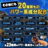 龍起丸 りゅうきがん 30包/30日分【公式】 マカ9000mg 100倍濃縮トンカットアリ カフェイン3000mg [メーカーカタログ付]