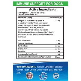 whole food antioxidant blend for dogs - DOG IMMUNE SYSTEM SUPPORT - LIVER AND KIDNEY HEALTH - POWERFUL ANTIOXIDANTS - NATURAL FORMULA - turmeric chews for dogs - 2 Bottles (180 Treats)