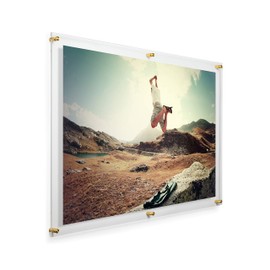 Wexel Art 28x40-Inch Double Panel Grade Acrylic Floating Frame with Gold Hardware for, 24x36-Inch Art & Photos