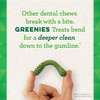GREENIES Original Petite Natural Dog Dental Treats, 3 oz. Pack