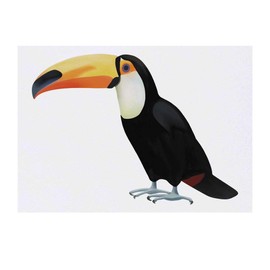 'Toucan' Temporary Tattoo - Water Resistant, Skin-Safe, Non-Toxic Transfer (TO00032229)