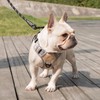 Coohom No Pull Dog Harness with Handle and Two Leash