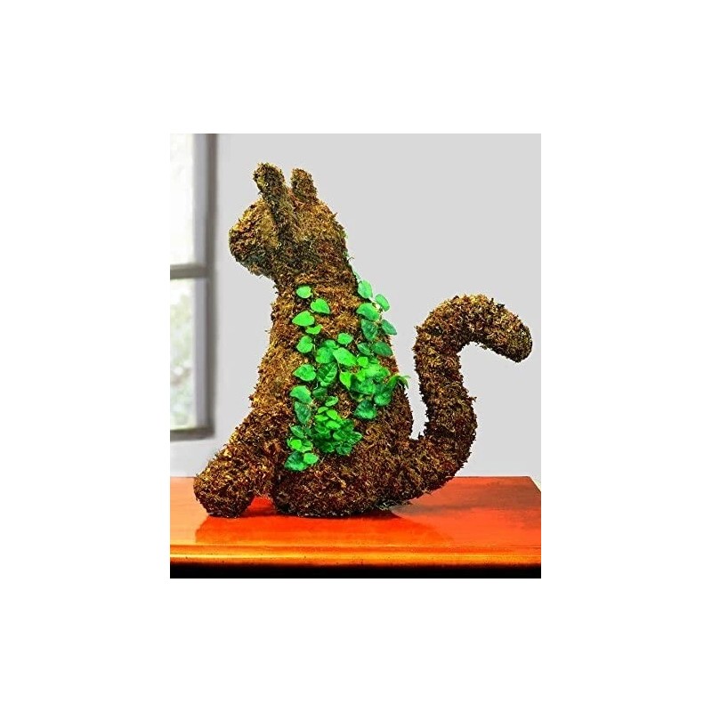 Mosser Lee Sphagnum Peat Long Fibered Moss ORCHID Mosser Lee