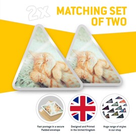 2 x Triangle Stickers 10 cm - Sleeping Ginger Cat Kitten Pet Fun Decals for Laptops,Tablets,Luggage,Scrap Booking,Fridges #15913