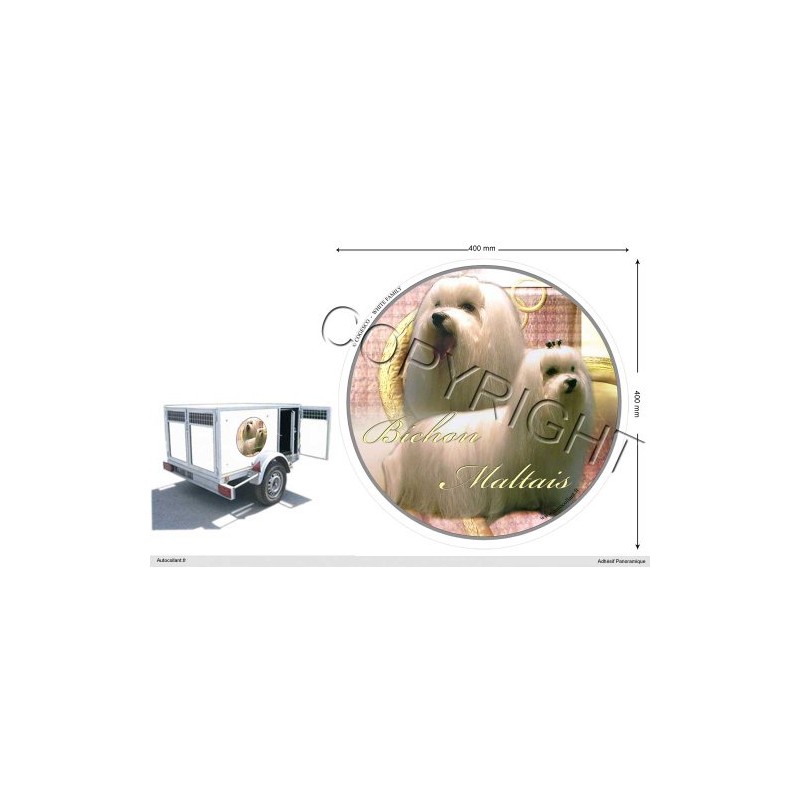 Pets-easy Circular Aufkleber Hund 40 cm Malteser