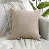 Topfinel Decorative Cushion Covers, Lumbar Cushion Covers, Plain, Chenille, with