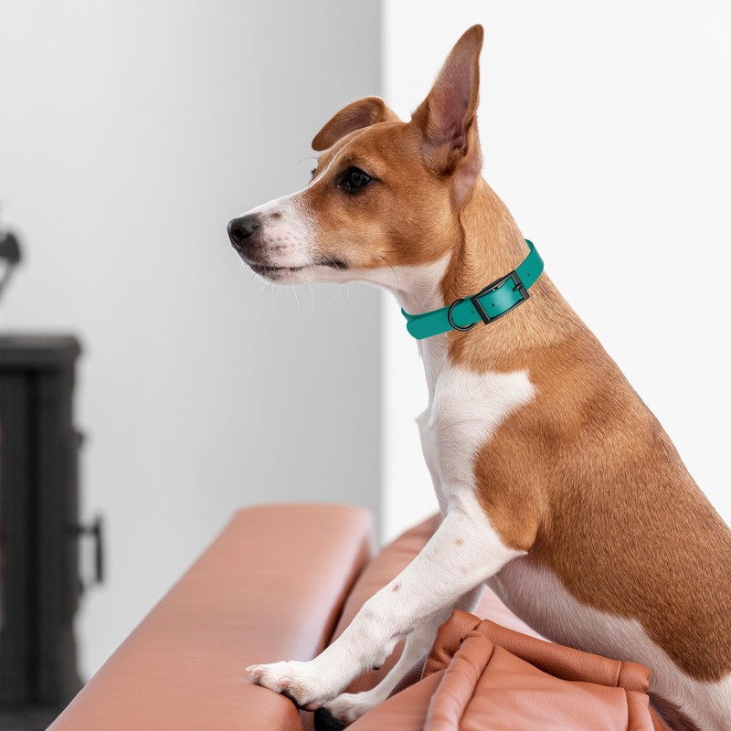 Dogline Biothane Waterproof Dog Collar Strong Coated Nylon Webbing with