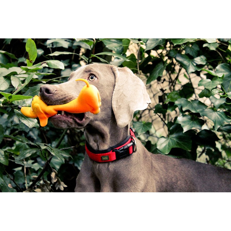 Lanco 8424678012103 Large Basset, 100% Natural Rubber