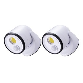 Light IT! by Fulcrum, 33002-108 LED Floodlight, White, 2 Pack