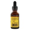 YS Organic Bee Farms 50% Super Strength Propolis Tincture, 1