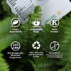 Soilmount Ginkgo Leaf Tea | Herbal Tea | Yin xin