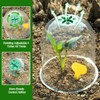 Vumdua Cloche Garden Dome, 6 Pack Plant Covers, Clear Plastic