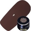 PRE GEL PG-CENL14 Color EX Liner Ash Brown Neo 14