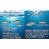 Sinking Pencil (Seabass, Flounder, Sawara, Blue) 95mm 40g (Blue)