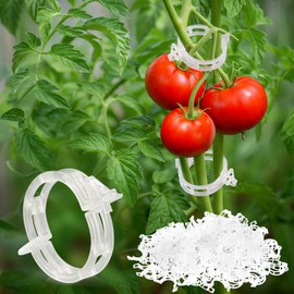 CINKSY 300 PCS Plant Support Clips - Reusable Tomato Clips for Climbing Plants Secured Plastic Garden Trellis Clips Plant Fixing Clips for Tomato Grape Cucumber Vine