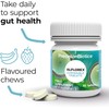 Alflorex® Chewable Probiotic Supplement – Daily Gut Health Support with