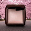 Facial Powder/1Pc