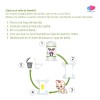 Rollo De Bambú 100 Hojas Ecobabyoriginal Pañal Ecológico