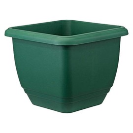 Stewart Balconniere Square Planter, 30 cm - Green