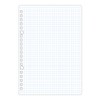 Maruman Loose Leaf Square Ruled Grid Paper
