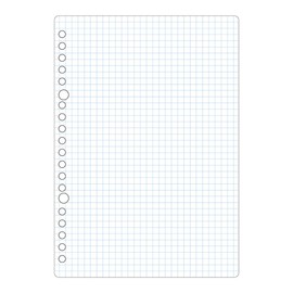 Maruman Loose Leaf Square Ruled Grid Paper