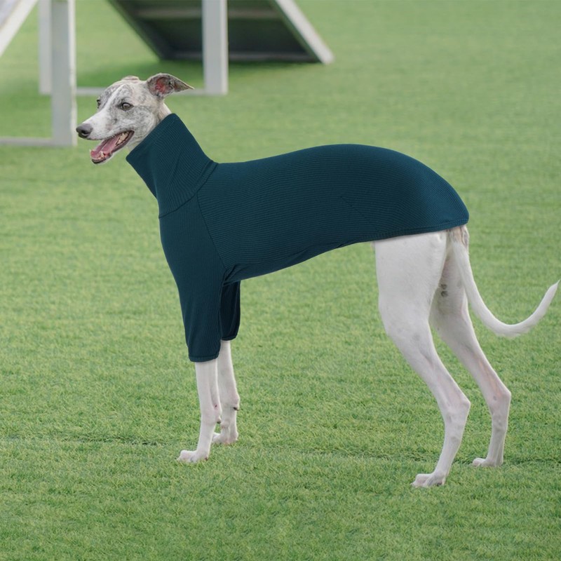Whippet Jumper, Shirt Whippet Turtleneck Pullover, Italian Greyhound Coat, Italian