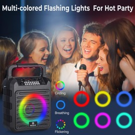 Portable Karaoke Machine for Adults with Display and Controls