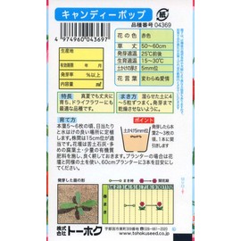 to-hoku 千日紅 Candy Pop