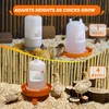 Eggluuz Chick Feeder and Waterer Kit Automatic Chicken Feeder and