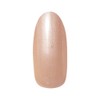 PRE GEL PG-CE570 Color Gel Color EX Ginger Pearl-P 0.1