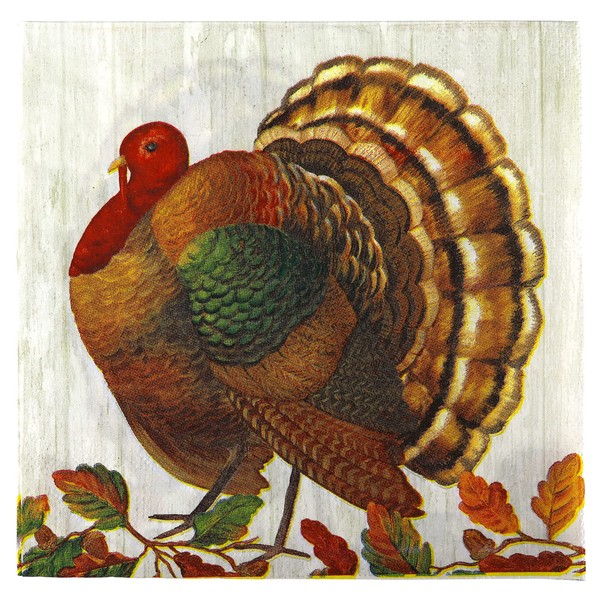Iconikal Disposable Paper Thanksgiving Party Napkins, Harvest Turkey, Dinner Size, 75-Count