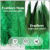 Feathers for Crafting,240pcs 5-7inch Green Craft Rooster Feathers,Saddle Hackle Feather,Bulk