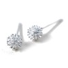 Silver 925 Silver Earrings, Hypoallergenic, Dandelion, Dandelion, Watt, Fluff, Snowflakes,